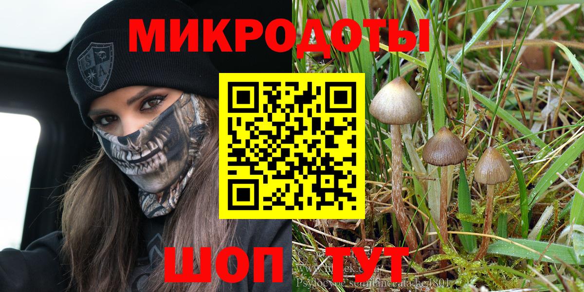 Симферополь  Псилоцибиновые грибы Cubensis  Вход с VPN  Псилоцибиновые грибы Cubensis 